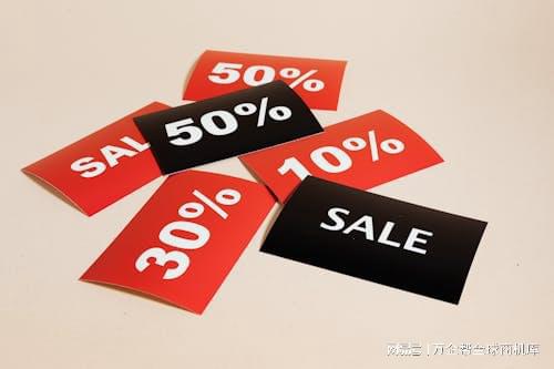 站成功之道：案例解析与经验总结九游会网址是多少跨境电商独立(图2)