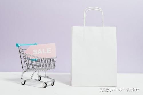 站成功之道：案例解析与经验总结九游会网址是多少跨境电商独立(图5)
