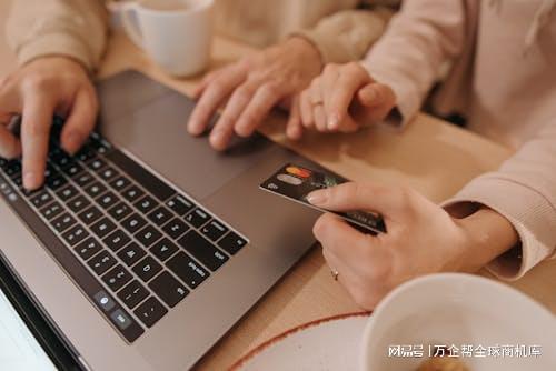 站成功之道：案例解析与经验总结九游会网址是多少跨境电商独立(图7)