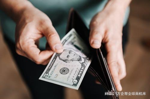站成功之道：案例解析与经验总结九游会网址是多少跨境电商独立(图13)