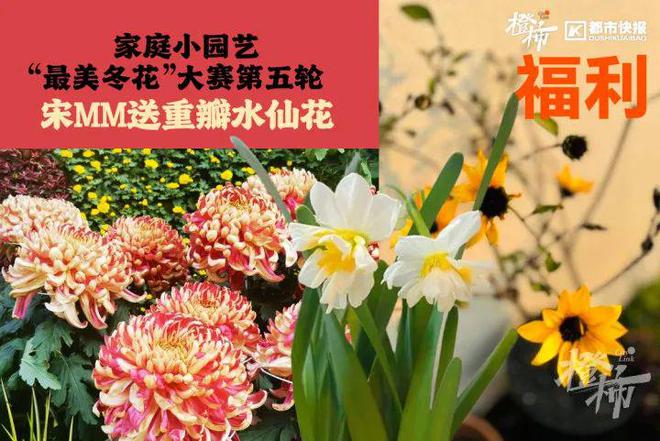 帽、霸王茶姬动物手机支架……橙柿超多福利送送送j9九游会真人游戏第一时髦人都有的巴拉克拉法(图5)