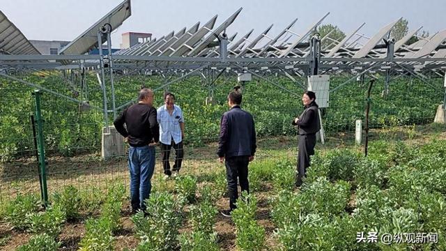 开展光伏设施安全隐患排查九游会J9镇平县马庄乡(图2)